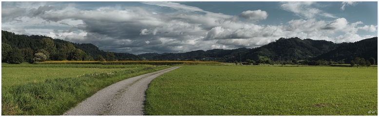 Wunderschöne Wiesen- & Feldlandschaft in der Nähe der Kinzig
