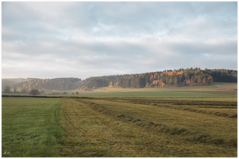 Ein Blick auf die vom Nebel angehauchte Landschaft