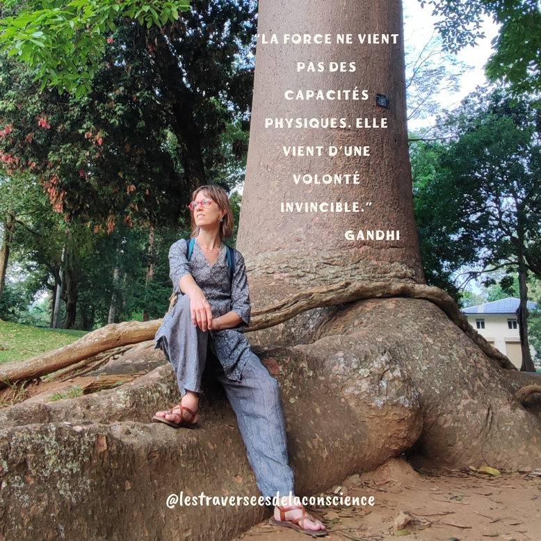 Thérapies psycho-corporelles, émotionnelles et énergétiques - Massage Système nerveux, stress, anxiété, traumas, sexualité, relation à soi et à l'autre - Je vous accompagne à retrouver unité, paix et joie, par le toucher, le souffle et la voix.