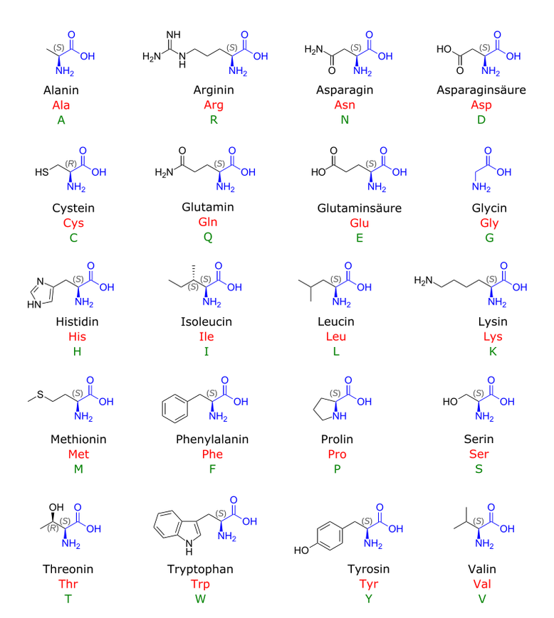 Aminosäuren Übersicht mit Namen und Strukturformel
