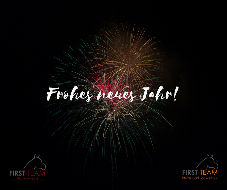 Frohes Neues Jahr Amp Alle Guten Wunsche Fur 2017 Reitschule