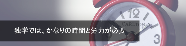 独学では、かなりの時間と労力が必要（発声）