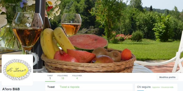 Pagina twitter