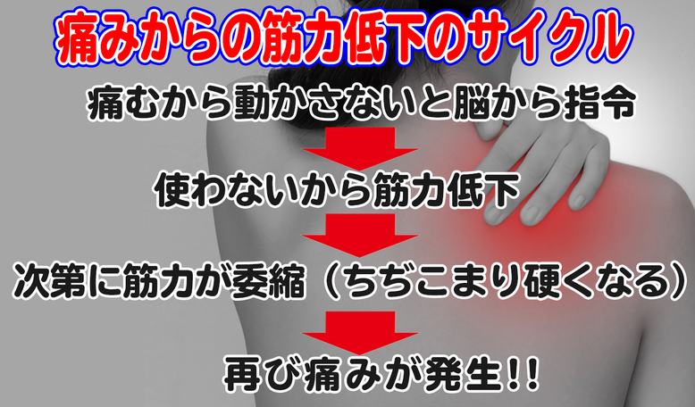 痛みからの筋力低下サイクルを改善します