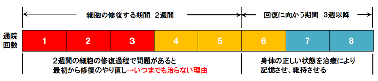 松戸市　新松戸　整骨院　接骨院　ポプラはりきゅう整骨院　松戸　南流山　流山市　柏市　交通事故　腰痛　肩こり　美容鍼　小顔矯正　耳つぼダイエット