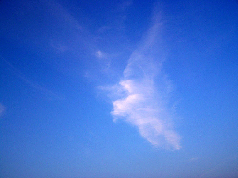 Eine Wolke, die aussieht wie ein Vogel oder evtl. ein Engel