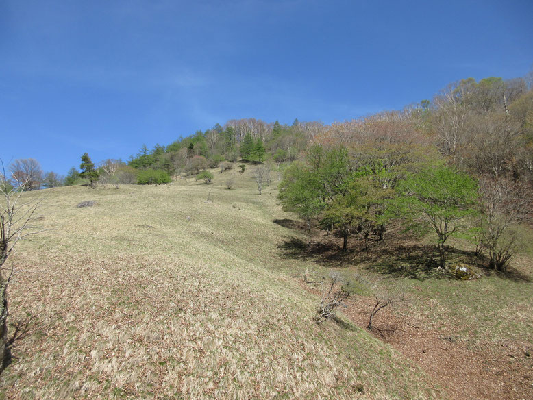 小屋前にひろがる丸川峠の景色