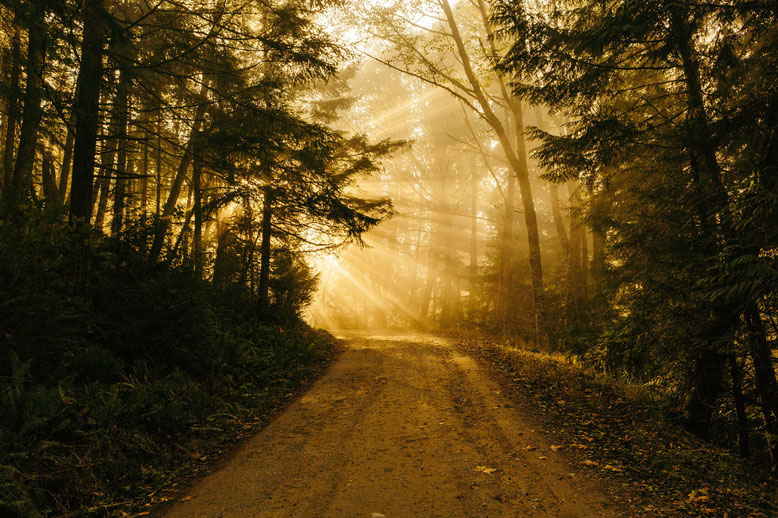 Nach einer Krise erscheint die Welt, der eigene Weg, das Leben in einem anderen Licht