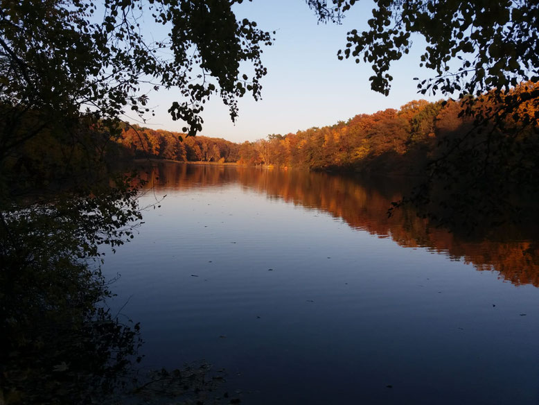 Krumme Lanke im Herbst