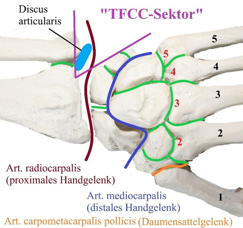 Region 6 Handspezifische Verletzungen See feel treats Webseite region-6-handspezifische-verletzungen-see-feel-treats-webseite