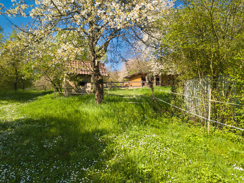 Flächennutzungsplan in Dossenheim (Aranka Schön)