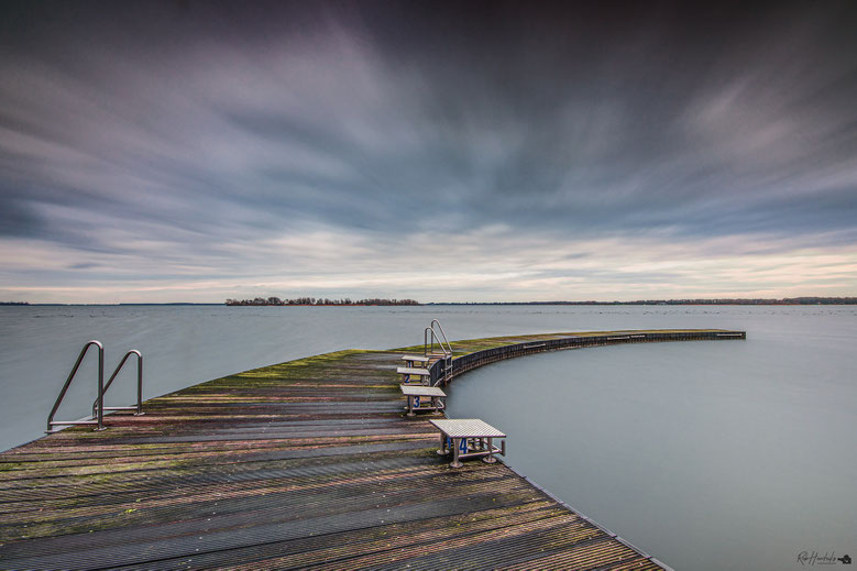Flevoland | Zeewolde | Zwemsteiger
