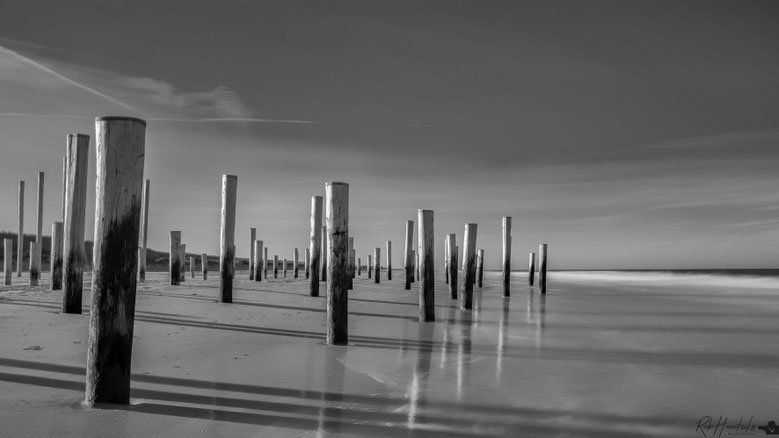 Noord-Holland | Petten | Palendorp