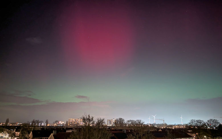 Noord-Brabant | Den Bosch | NOORDERLICHT | 19-01-26