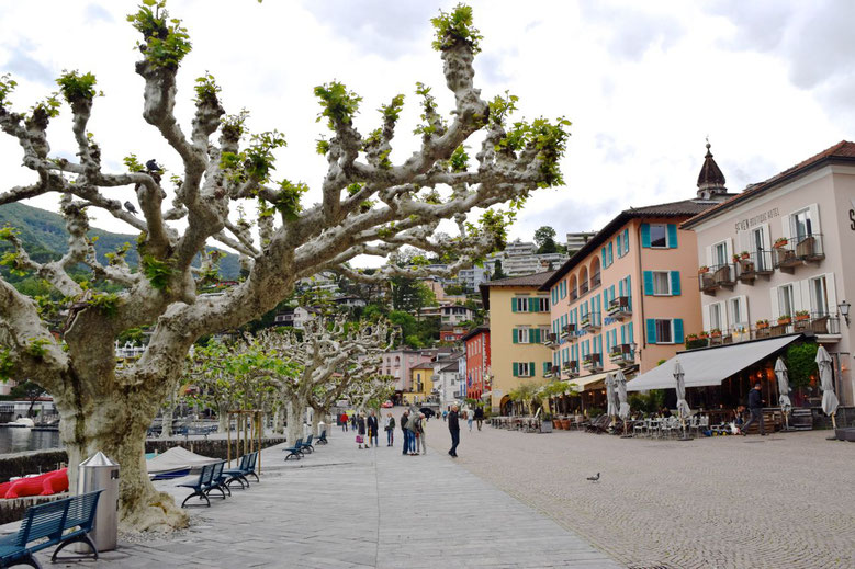 What to Do in Ticino - Ascona