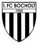 1.FC Bocholt U13