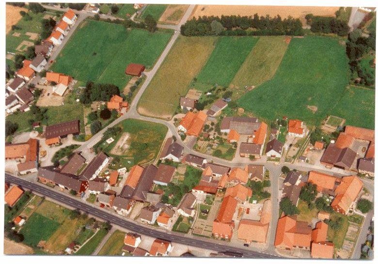 Mainzholzen