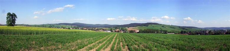 Blick auf Berthelsdorf und den Hohwald