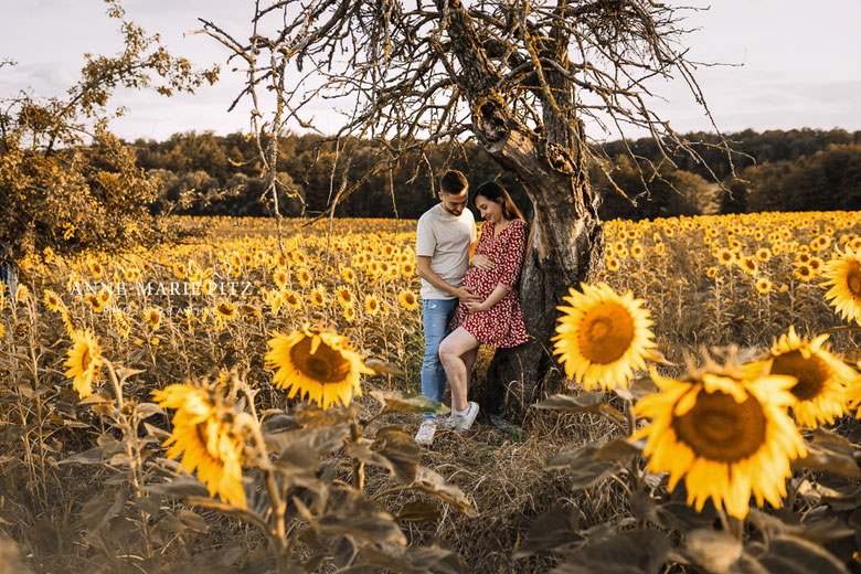 photographe grossesse Moselle Alsace