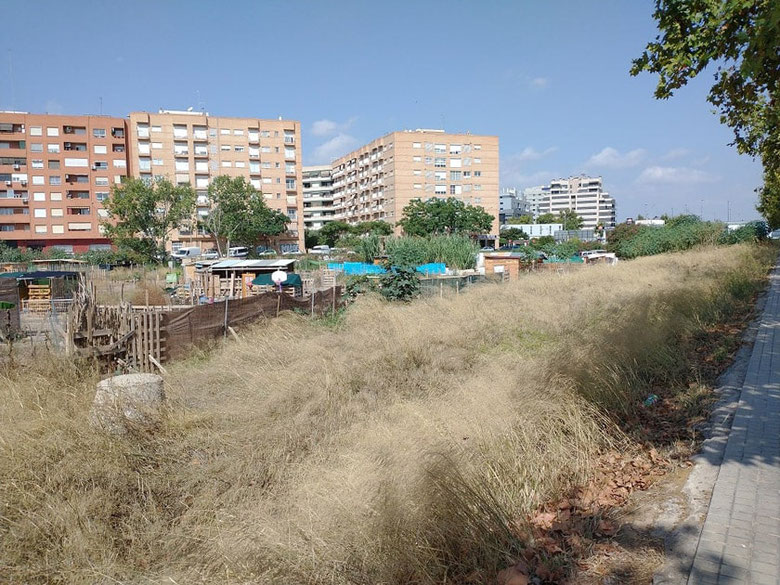 Chabolas en los terrenos ocupados en el barrio de Benimaclet en València.