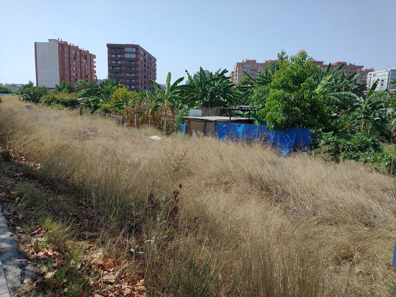 Chabolas y terrenos ocupados en el barrio de Benimaclet en València.