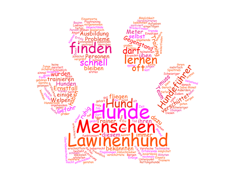 Kann Ein Hund Verschollene Menschen Durch Den Schnee Riechen Hundealshelferimalltags Webseite