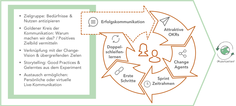 Erfolgreiche Experimente in der Organisation verbreiten (© Sabine Stoverock 2020)