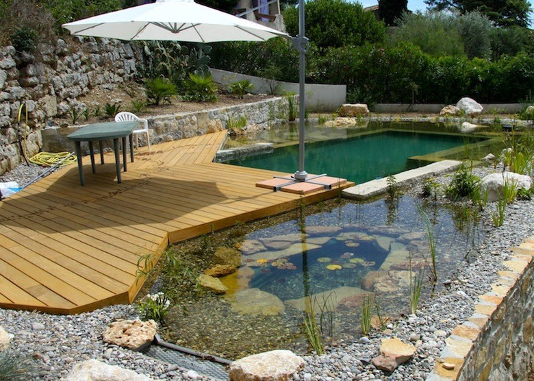 Piscine naturelle coût d’entretien, aspect écologique et sécurité (5/ — free download