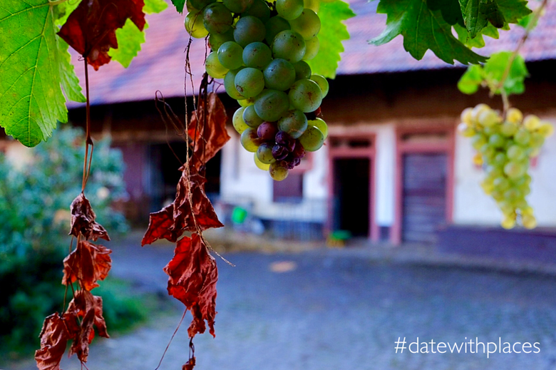 Date mit dem Odenwald - Landherbst auf dem Bauernhof - #datewithplaces ...