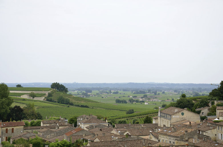 View from top of Saint-Emilion