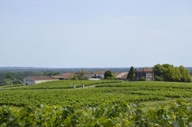 Chateau Gagnard