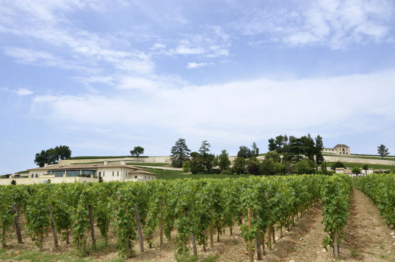 Cahteau Pavie, Saint-Emilion