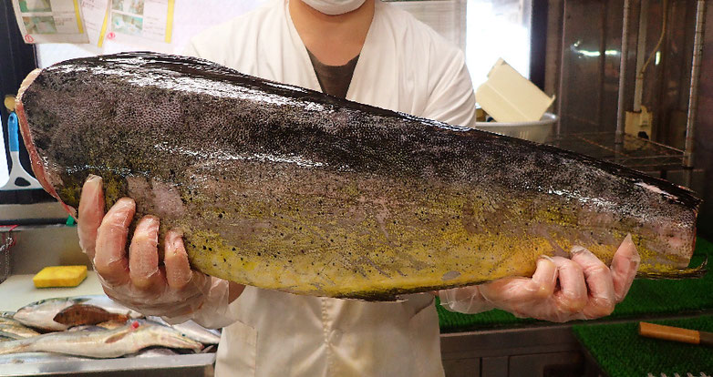 寿司 出前 デリバリー