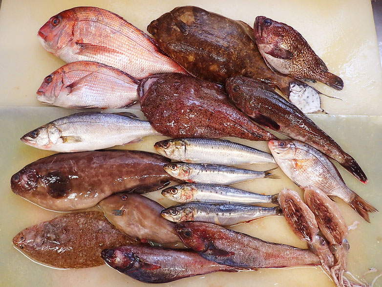 高級寿司　出前　鮮魚