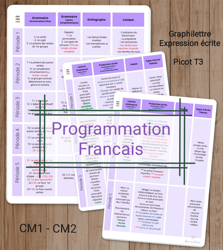 bien en classe ressources pédagogiques cycle2 cycle3 programmations français grammaire Picot orthographe lexique rentrée 2022 lecture littérature production écrite pinterest 