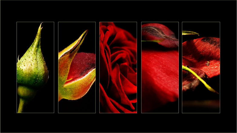 Image by flickr.com/photos/ramsd