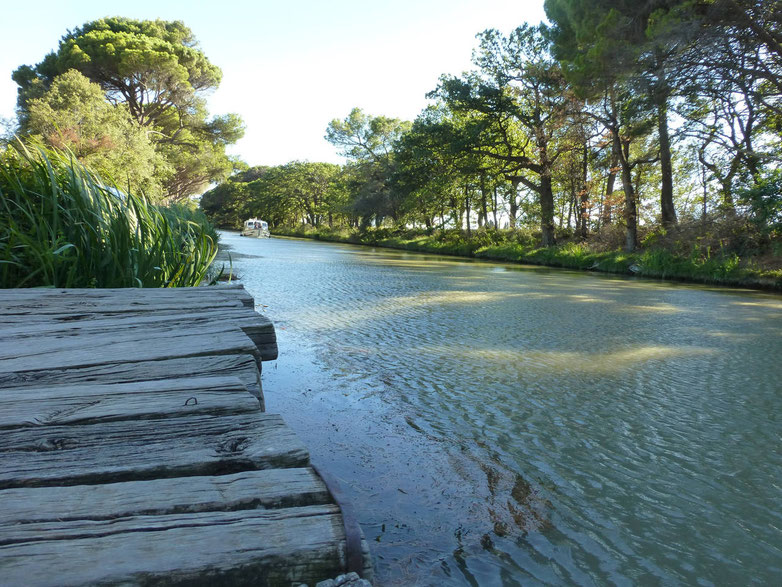 Le chemin de halage du canal, ambiance de calme, repos, et sérénité, pour de belles promenades le long du canal du midi à vélo, à pied, à cheval...