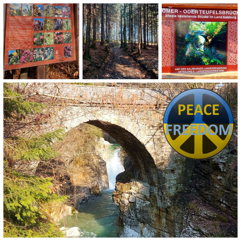 Bad Vigaun, Kuchl, Römerbrücke, Taugl, Bach, Wasser, Natur, Radtour