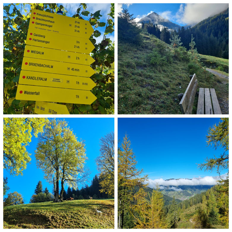  babebi-ontour.com, Hatschn&Haxln, durch ganz Österreich, Tirol, Brixen im Thale, Kirchberg in Tirol, Gaisberg, Gaisbergjoch, Wilder Kaiser, Großer Rettenstein, Panorama, Herbstwanderung