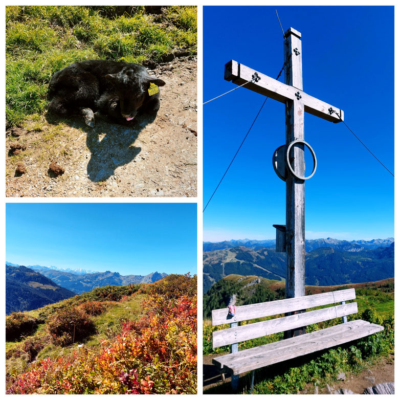 Großarltal, Tal der Almen, Herbstwanderung, Kitzsteingabel, Kraftplatz, Alm, babebe-ontour.com, Hatschn & Haxln, durch ganz Österreich