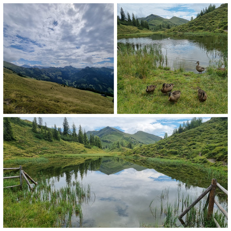 babebi-ontour, Hatschn&Haxln, durch ganz Österreich, Großarltal, Tal der Almen, Trögseen, Wanderung, Breitenebenalm, Ellmaualm, Baden im Bergsee, Bergseen, Panorama