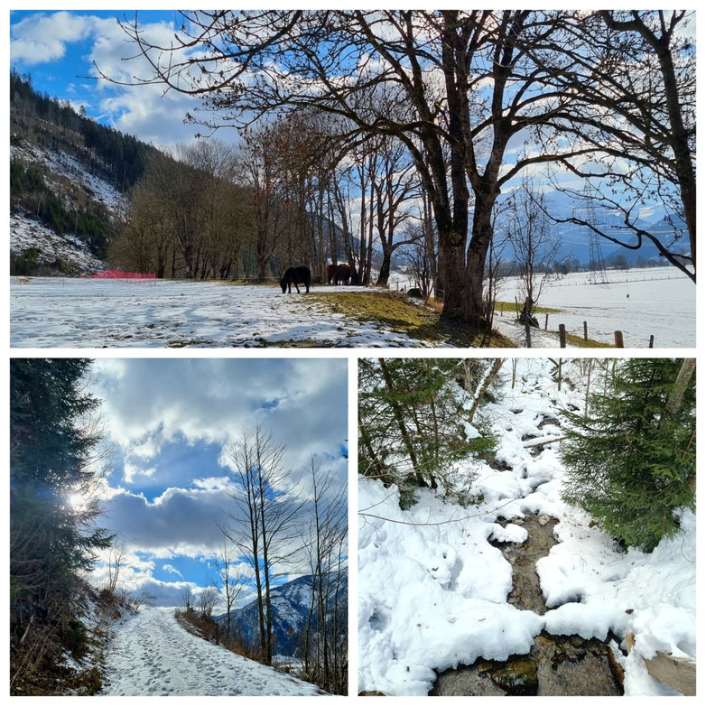  babebi-ontour.com, Hatschn & Haxln, durch ganz Österreich, Maishofen, Kammeregg Alm, Schwalbenwand, Schneeschuhwanderung, Skitour, Winterwonderland, Salzburger Land, Pinzgau, Winter