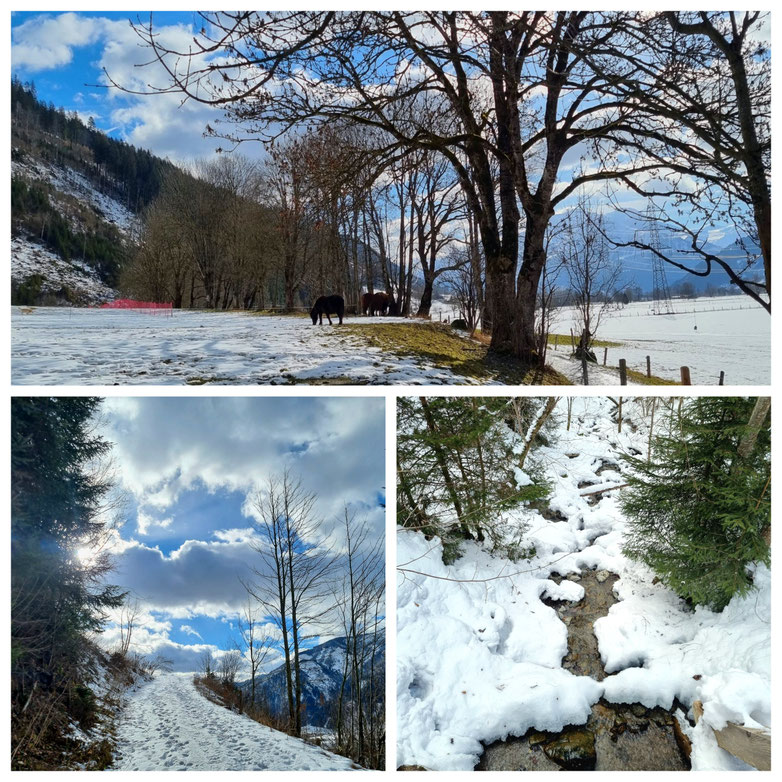 babebi-ontour.com, Hatschn & Haxln, durch ganz Österreich, Maishofen, Kammeregg Alm, Schwalbenwand, Schneeschuhwanderung, Skitour, Winterwonderland, Salzburger Land, Pinzgau, Winter