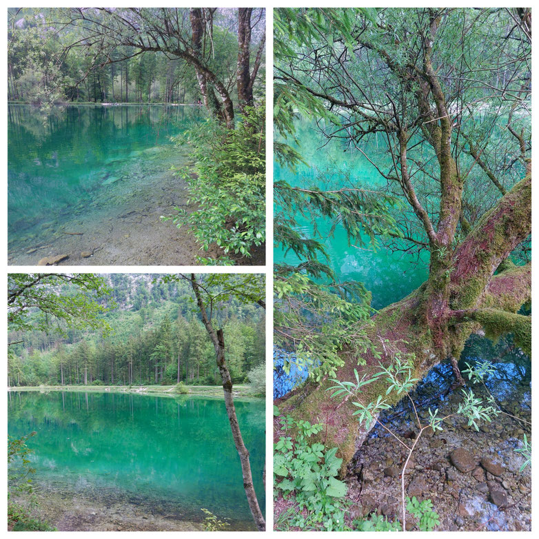 Radtour, Golling an der Salzach, Gollinger Wasserfall, Bluntautal, Wasserfall, See, Bergsee, Familientour,