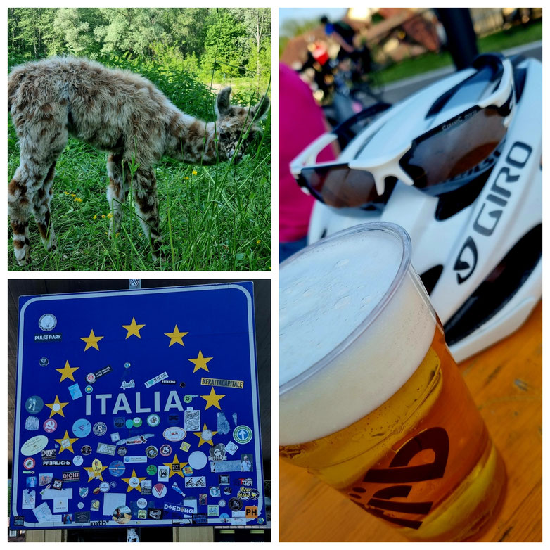 babebi-ontour.com, Hatschn&Haxln, durch ganz Österreich, Salzburg, Kärnten, Ciclovia Alpe Adria, Tauernschleuse, Gasteinertal, Böckstein, Mallnitz, Obervellach, Mölltal, Drautal, Spittal an der Drau, Arnoldstein, Tarvisio, Kanaltal, Radweg, Chiusaforte,