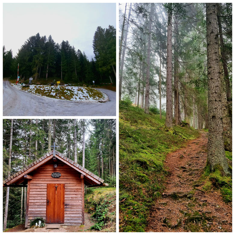 Bischofshofen, Hörndlkapelle, kurze Wanderung, Pilgerweg, Friedensweg, Waldweg, Buchberg, Buchbergkirche,