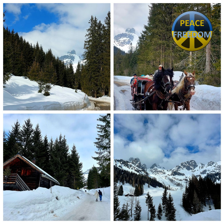 Filzmoos, Hofalmen, Oberhofalm, Unterhofalm, Bischofsmütze, Pferdekutsche, Winterwanderung, romantische Wanderung, Familienwanderung, Spaziergang, Kapelle