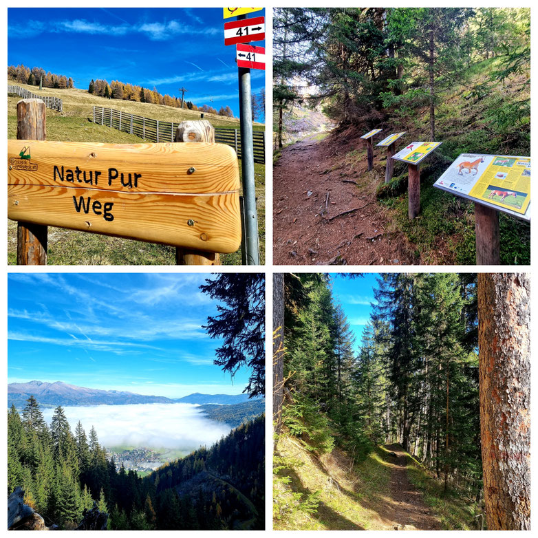 babebi-ontour.com, Hatschn & Haxln, durch ganz Österreich, Lungau, Speiereck, Herbsttag, Wanderung, Halterhütte, Sankt Michael im Lungau, Mauterndorf, Herbstwanderung, Gipfelsieg, Panorama