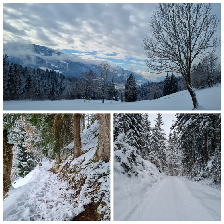 babebi-ontour.com, Hatschn&Haxln, durch ganz Österreich, Tirol, Scheffau am Wilden Kaiser, Schneeschuhwanderung, Winterwunderland, Kaisergebirge, Gämsen, Tiefschnee, Wanderung, Rundtour, Winterwandern, Urlaub in Tirol