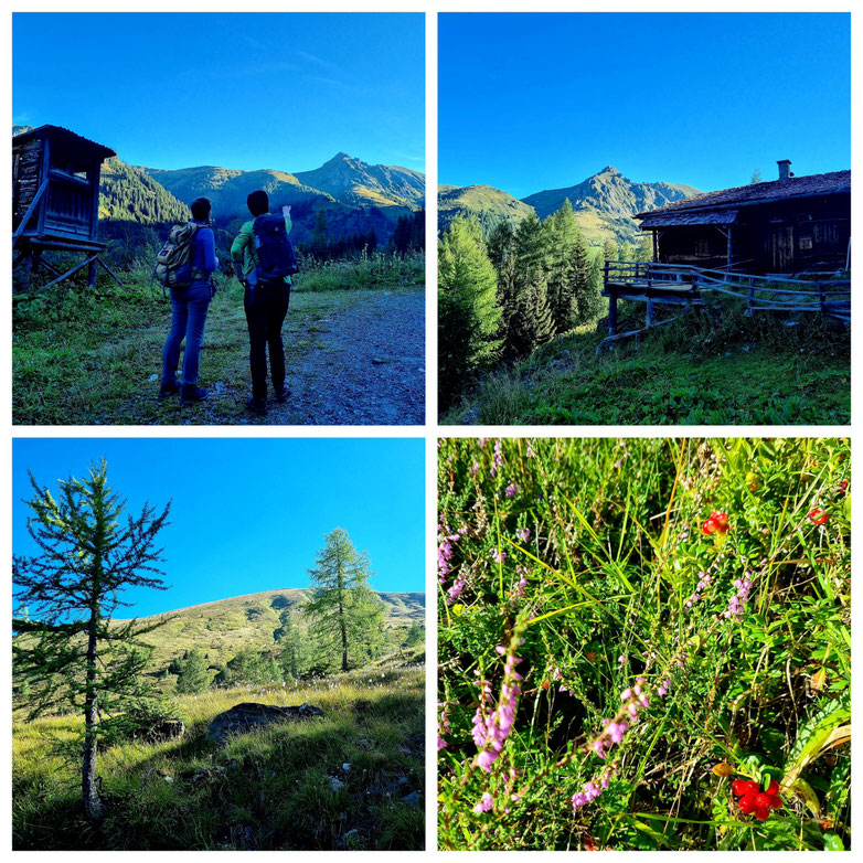 babebi-ontour.com, Hatschn & Haxln, durch ganz Österreich, Großarltal, Hüttschlag, Berg Gesund, Tappenkarsee, Wanderung, Panorama, Tal der Almen, Draugstein